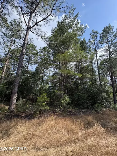 lot2 Dumajack Rd, Chipley, FL 32428 photo 5