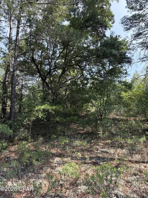 lot2 Dumajack Rd, Chipley, FL 32428