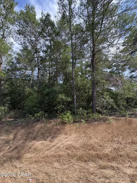 lot2 Dumajack Rd, Chipley, FL 32428 photo 3