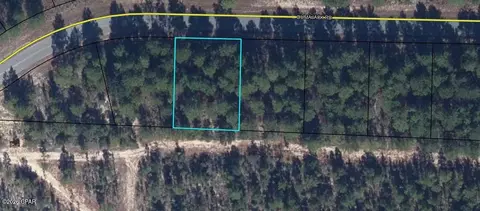 lot3 Dumajack Rd, Chipley, FL 32428 photo 7