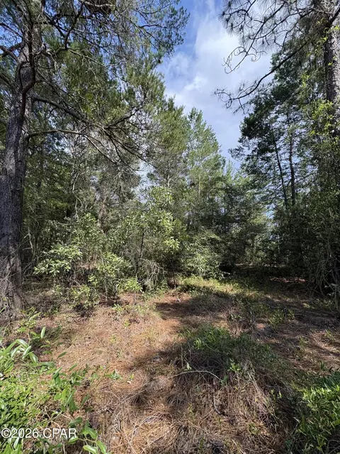 lot3 Dumajack Rd, Chipley, FL 32428 photo 4