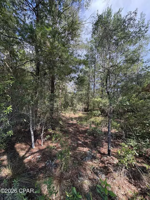 lot3 Dumajack Rd, Chipley, FL 32428 photo 6