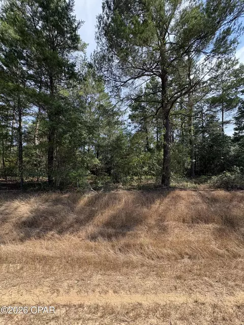 lot3 Dumajack Rd, Chipley, FL 32428