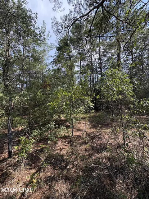 lot3 Dumajack Rd, Chipley, FL 32428 photo 5