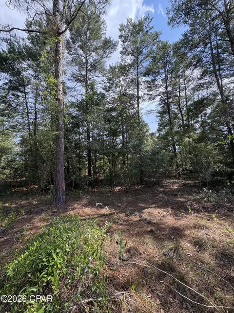 lot3 Dumajack Rd, Chipley, FL 32428 photo 3