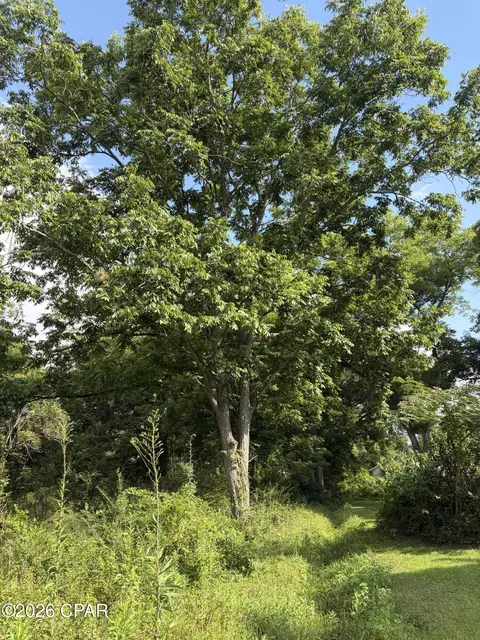 1025 Washington Ave, Graceville, FL 32440