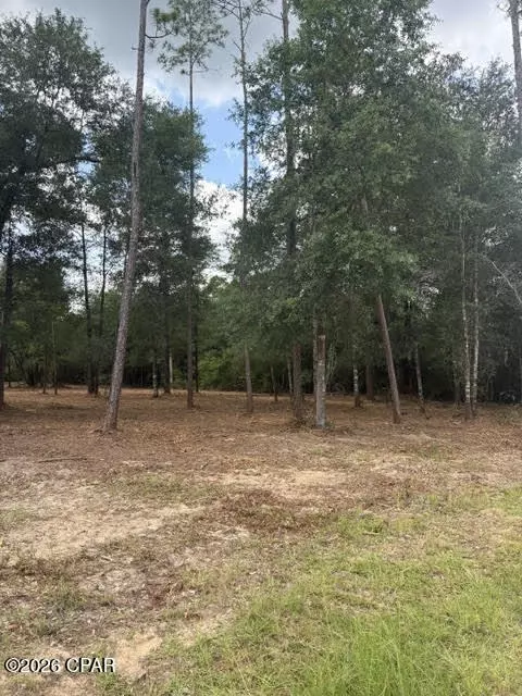 0 Forest Glen Dr, Fountain, FL 32438