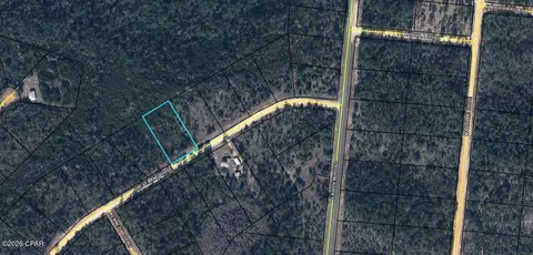 tbd Cleveland Dr, Alford, FL 32420