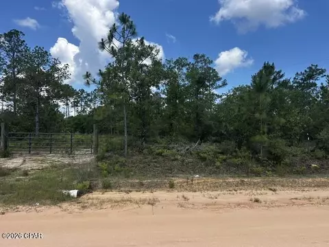 00 Ocala Dr, Alford, FL 32420