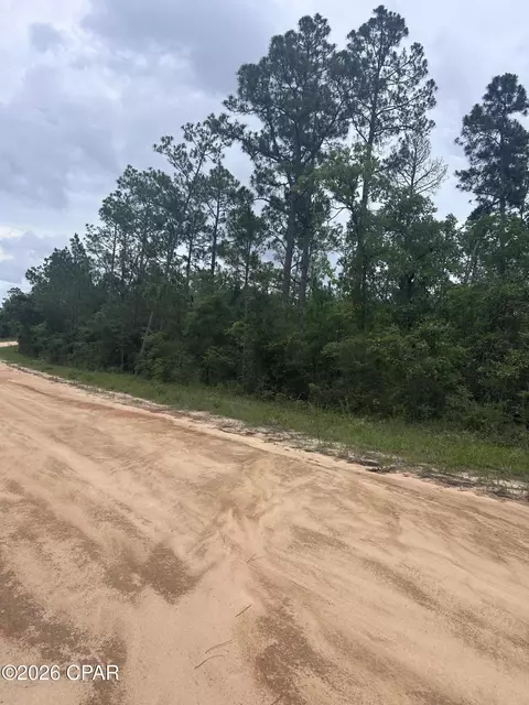 00 Abraham St, Alford, FL 32420