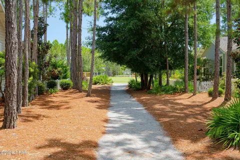 Exterior - 204 E Firethorn Cir, Inlet Beach, FL 32461 photo 12 of 14