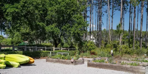 View/Area - 204 E Firethorn Cir, Inlet Beach, FL 32461 photo 9 of 9