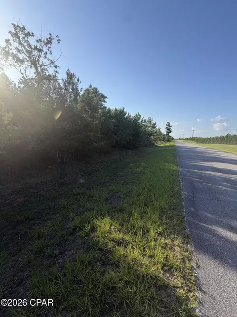 6629 Porter Grade Rd, Altha, FL 32421 photo 3