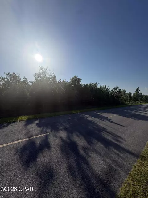 6629 Porter Grade Rd, Altha, FL 32421