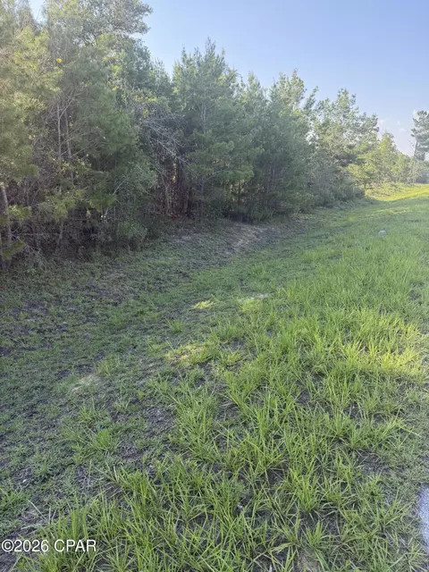 6629 Porter Grade Rd, Altha, FL 32421 photo 4