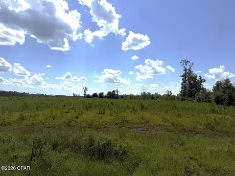 lot2 Hwy 71 S, Wewahitchka, FL 32449