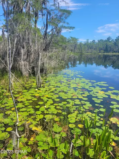 3047 Everest Dr, Chipley, FL 32428 photo 6