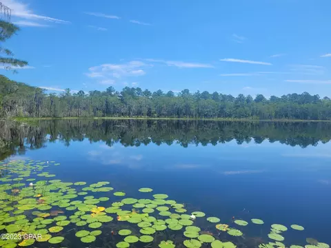 3047 Everest Dr, Chipley, FL 32428 photo 7
