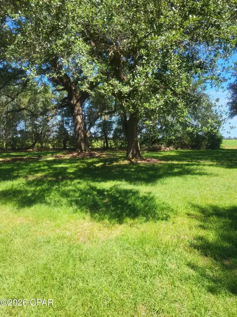 00 Ditty Road Rd, Bascom, FL 32423 photo 16