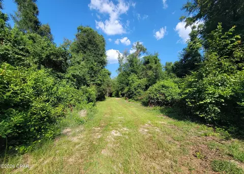 00 Ditty Road Rd, Bascom, FL 32423 photo 21