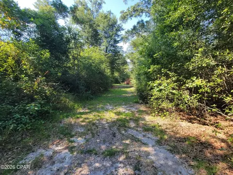 00 Ditty Road Rd, Bascom, FL 32423 photo 28