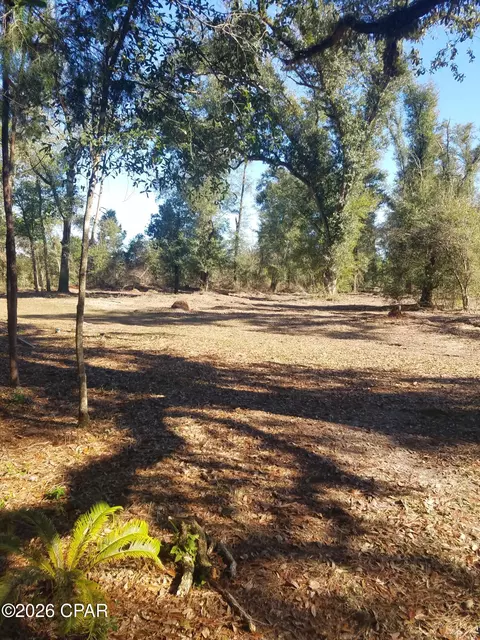 00 Ditty Road Rd, Bascom, FL 32423 photo 14