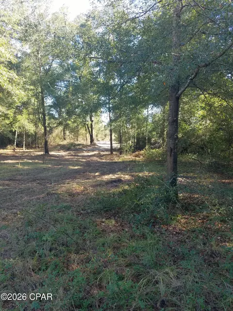 00 Ditty Road Rd, Bascom, FL 32423 photo 15