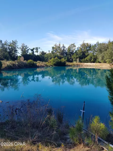 00 Ditty Road Rd, Bascom, FL 32423 photo 19