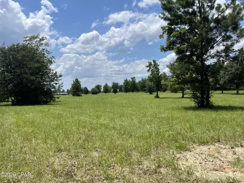 00 Gotcha Rd, Marianna, FL 32448