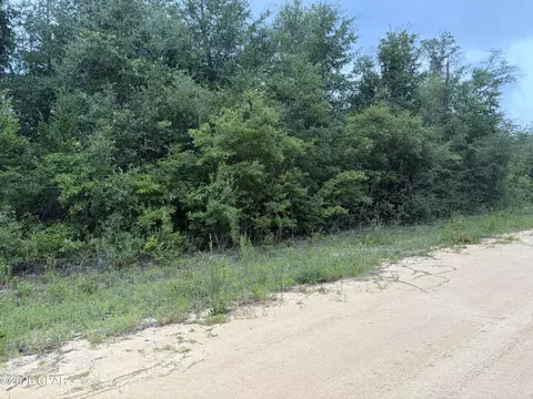 0 Kokomo Ave, Alford, FL 32420