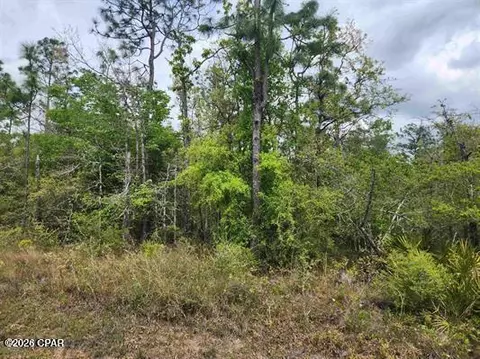 Nnn NW Lake Center Road, Fountain, FL 32438