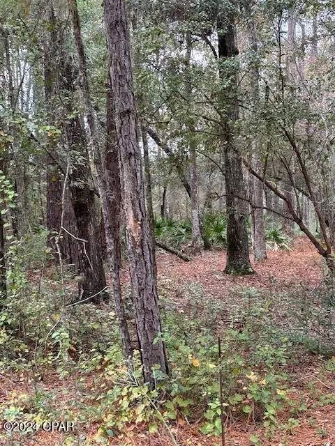 0000 Everest Dr, Chipley, FL 32428 photo 6