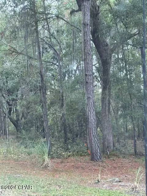 0000 Everest Dr, Chipley, FL 32428 photo 5