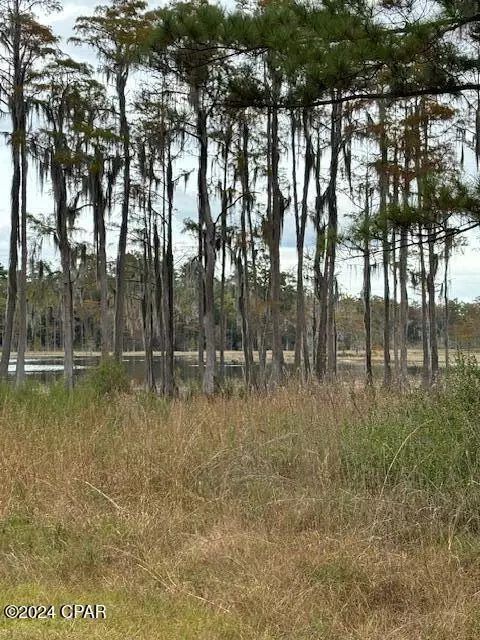 0000 Everest Dr, Chipley, FL 32428 photo 11