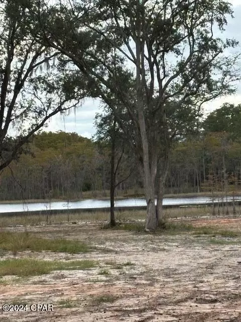 0000 Everest Dr, Chipley, FL 32428 photo 9