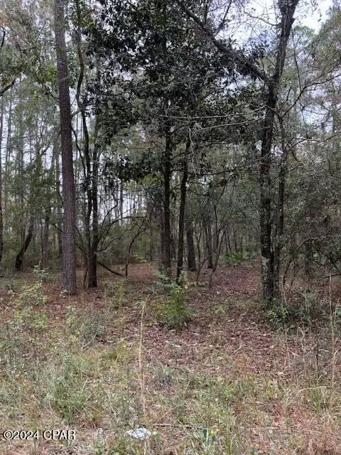 0000 Everest Dr, Chipley, FL 32428 photo 2