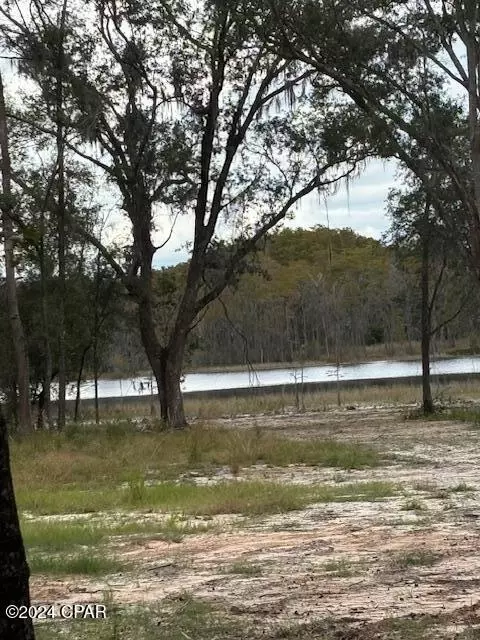 0000 Everest Dr, Chipley, FL 32428 photo 10