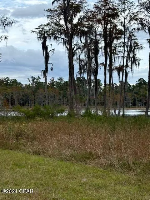 0000 Everest Dr, Chipley, FL 32428 photo 12