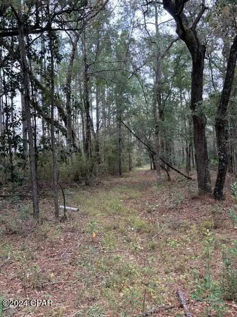 0000 Everest Dr, Chipley, FL 32428 photo 3