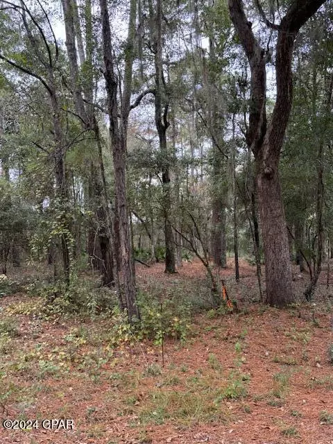 0000 Everest Dr, Chipley, FL 32428 photo 7
