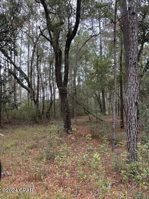 0000 Everest Dr, Chipley, FL 32428 photo 8
