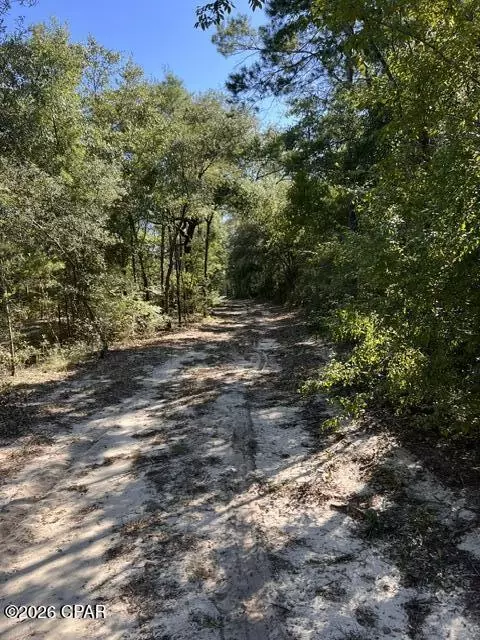 2902 River Lake Dr, Chipley, FL 32428 photo 34