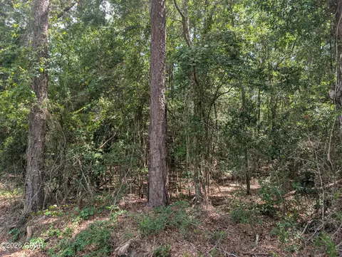 tbd Marian Dr, Bonifay, FL 32425
