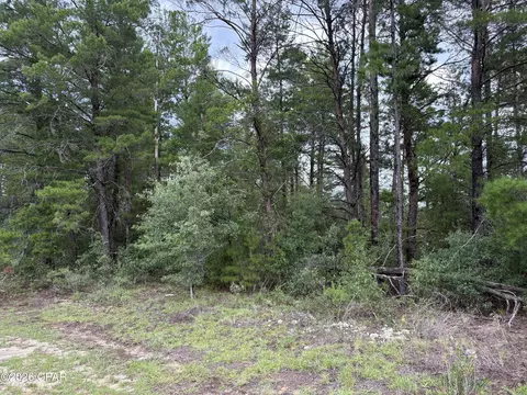 lot22 Pinehurst Ave, Chipley, FL 32428 photo 6