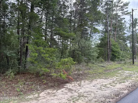 lot22 Pinehurst Ave, Chipley, FL 32428 photo 2