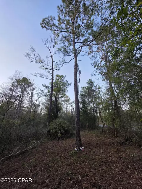 lot7 Pine Log Rd, Chipley, FL 32428 photo 3