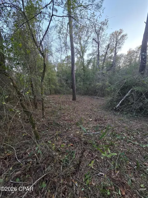 lot7 Pine Log Rd, Chipley, FL 32428 photo 2