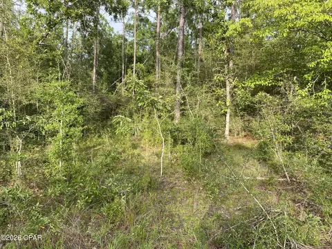 lot30 Putnam Ave, Alford, FL 32420