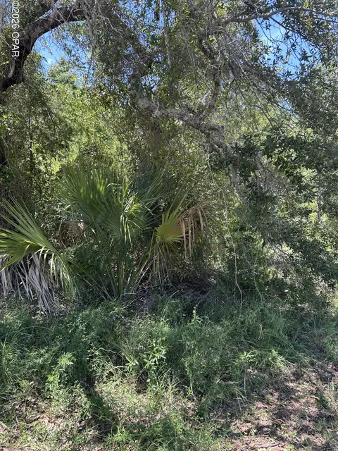17 W Flower Ave, Panama City, FL 32405