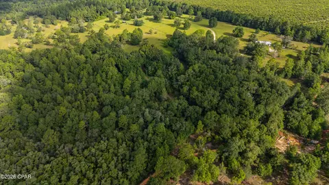 512 Hickory Tree Ln, Crestview, FL 32539 photo 12